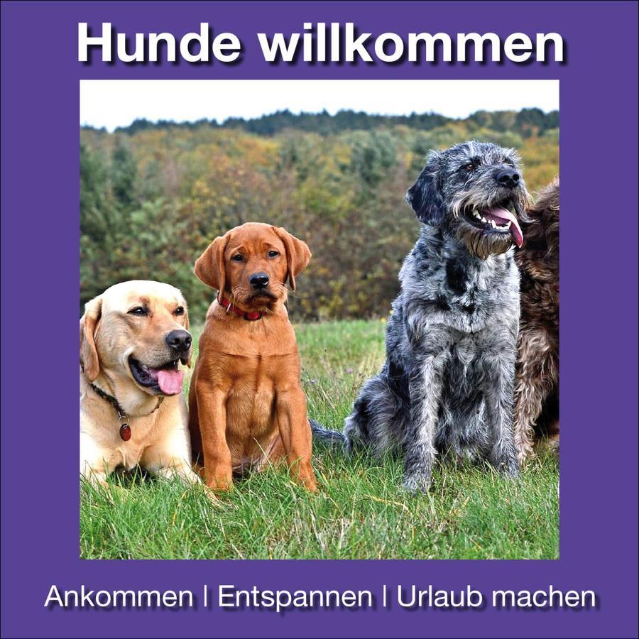 Ferienwohnungen Beckendorf Schiller Losheim Exteriér fotografie